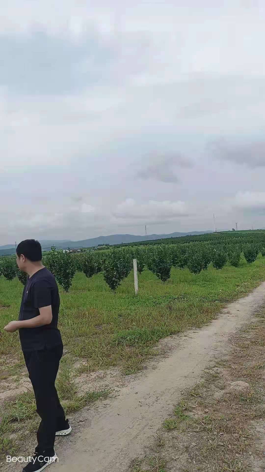殺蟲(chóng)燈